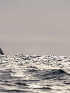 Leader Loison keeps control 