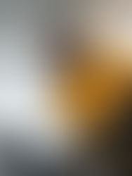 Gulf Stream headaches for Class 40 leader Beccaria  