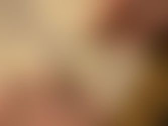 Planted Label. Accountability in Upholstery. 