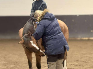 Fra 35 til 80cm med flotte sprang og kåring av klubbmestere med fart!
