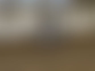 Vellykket dressurhelg for Haslerytterne 🤩