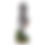 Thumbnail: Tin Man Wizard of Oz Notenkraker