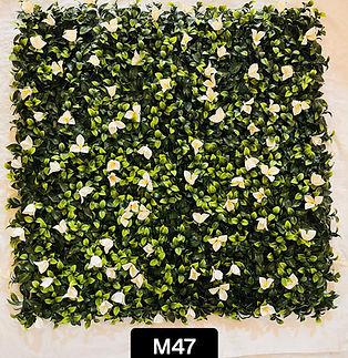 WhatsApp Image 2026-01-13 at 11.46.59 AM (5).jpeg