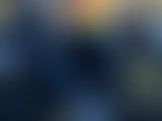 疑问:仅仅逾期居留,会不会被ICE抓?