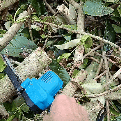Thumbnail: Portable Chainsaw