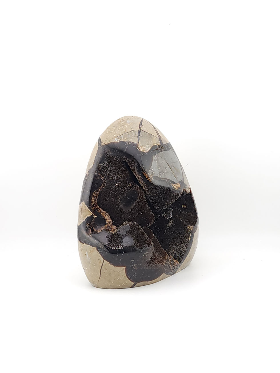 Thumbnail: 5" Tall Natural Septarian with Aragonite Matrix