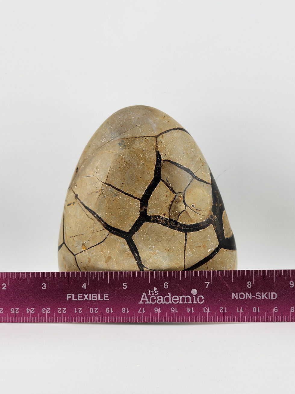 Thumbnail: 5" Tall Natural Septarian with Aragonite Matrix