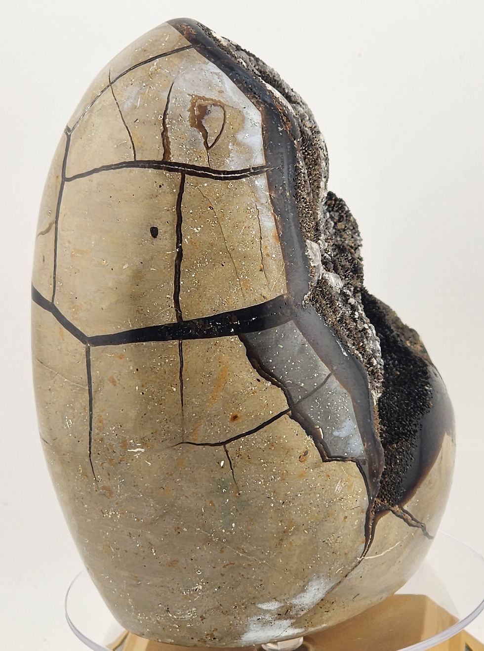 Thumbnail: 5" Tall Septarian Nodule with Calcite Crystals on Aragonite Matrix