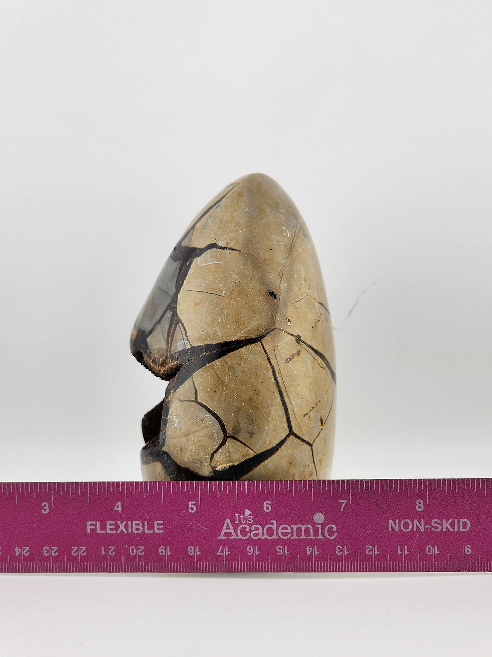 Thumbnail: 5" Tall Natural Septarian with Aragonite Matrix
