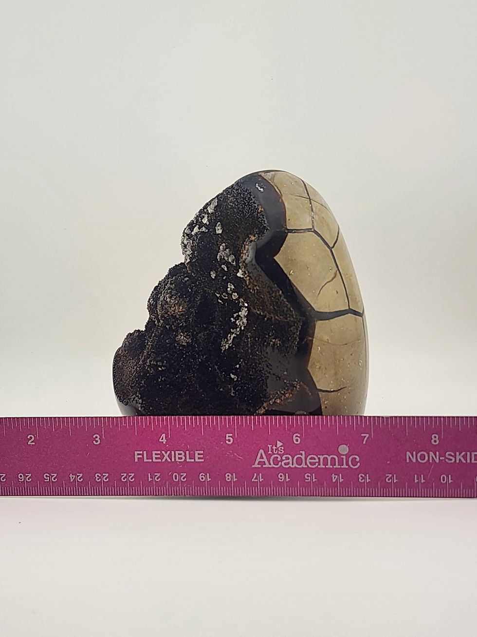 Thumbnail: 5" Tall Septarian Nodule with Calcite Crystals on Aragonite Matrix