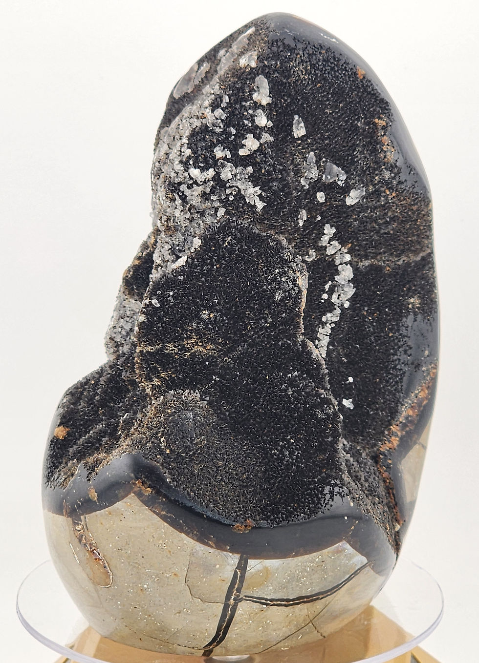 Thumbnail: 5" Tall Septarian Nodule with Calcite Crystals on Aragonite Matrix