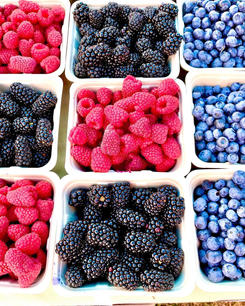 Rosebud-Country-Market-9.jpeg