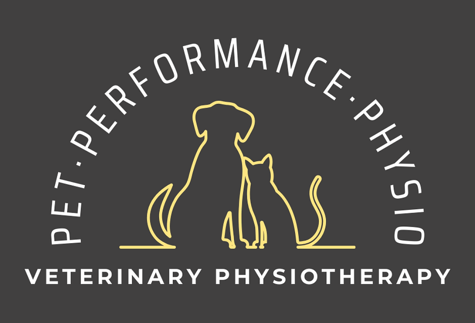 ppp logo.png