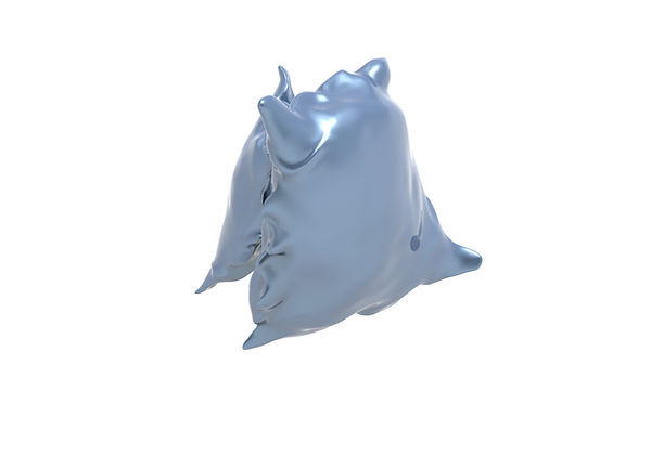 yayan pillow 1.149.jpg