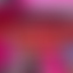 Dia Mundial da Cruz Vermelha