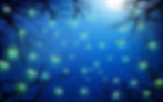 bigstock-Firefly-In-The-Jungle-With-Ful-287737666-1.jpg