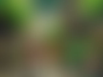 Promoting Racial and Cultural Dialogue through Art: Effective Approaches and Outcomes