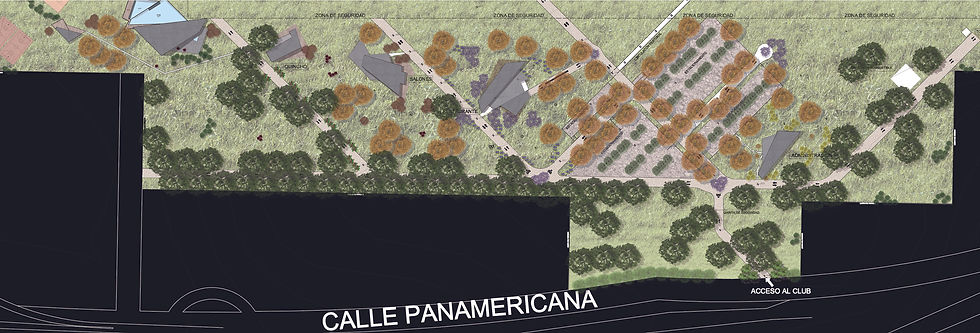 ZOOM planimetria