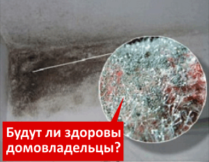 Каркасные дома, СИП-панели, Дома с завода, Приморский край, балки Спаск-Дальний, Производитель СИП-панелей,СИП панели,СИП во Владивостоке, СИП в Хабаровске