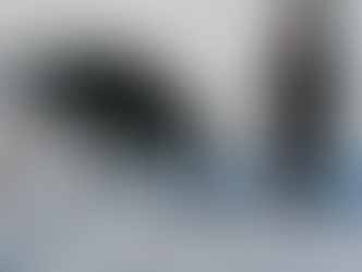 『冬の草原のエピソード⑤』牛の屠殺