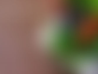 健康経営の具体的取り組み⑧ 食生活の改善