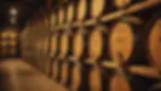 Close-up view of bourbon barrels in a storage room