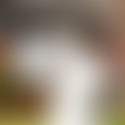 6/6 Arai Hitomi Live&Party "I Can't Stop My Music! Keep On Singing!" 「音楽・歌 第二章開幕宣言」