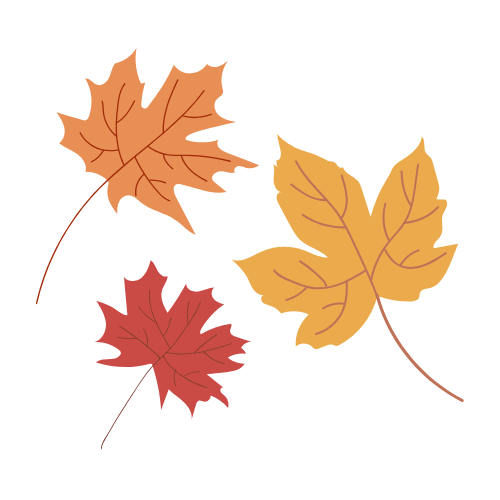 Pecan Street Festival's 50th Anniversary | Fall Show