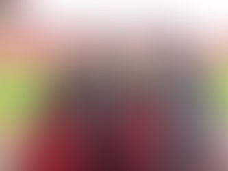 XFANS INTERNACIONAL invests in minority stake in Gimnastic of Tarragona SAD