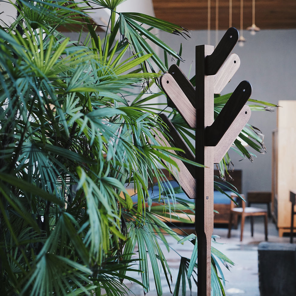 縮圖：Natural wood coat rack