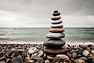Jill ottawa ontario phyllis chapman medium insightful talented rare gift for discerning relating important messages impressions readings incredibly helpful situation unclear uncomfortable recommend services reservation