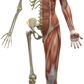 Endocannabinoid System & Cannabidiol