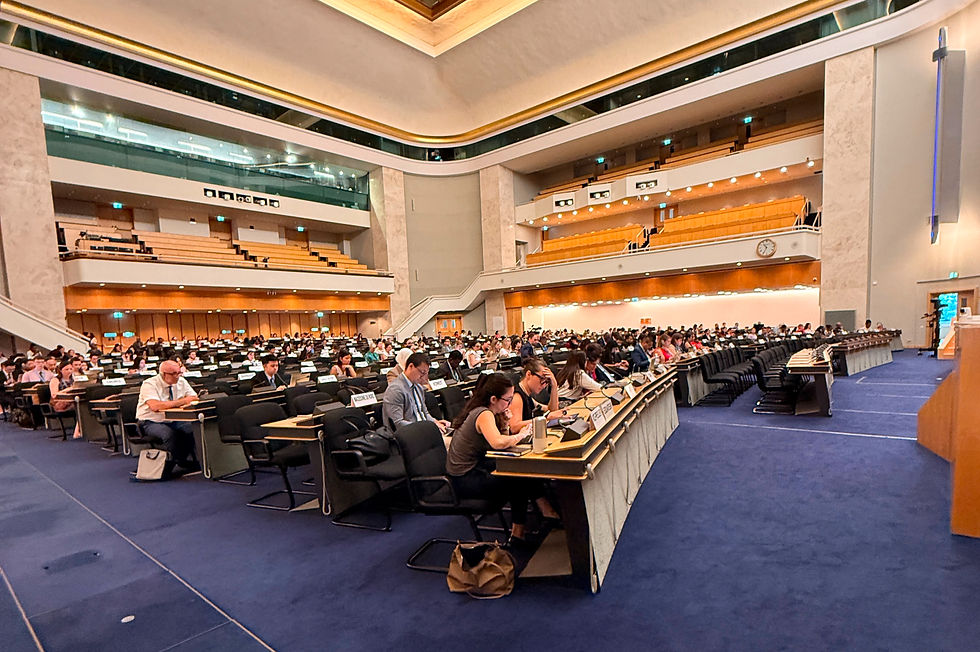 IPO Participates in the 62nd Session of the United Nations Human Rights Council