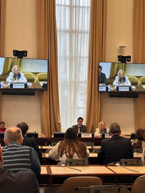 IPO Section Switzerland Participates in Annual Meeting of the Director-General of UNOG with Civil Societ