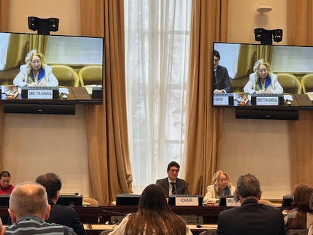 IPO Section Switzerland Participates in Annual Meeting of the Director-General of UNOG with Civil Societ