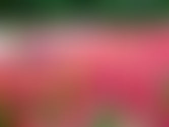 Lessons from the Bible's Shunammite woman