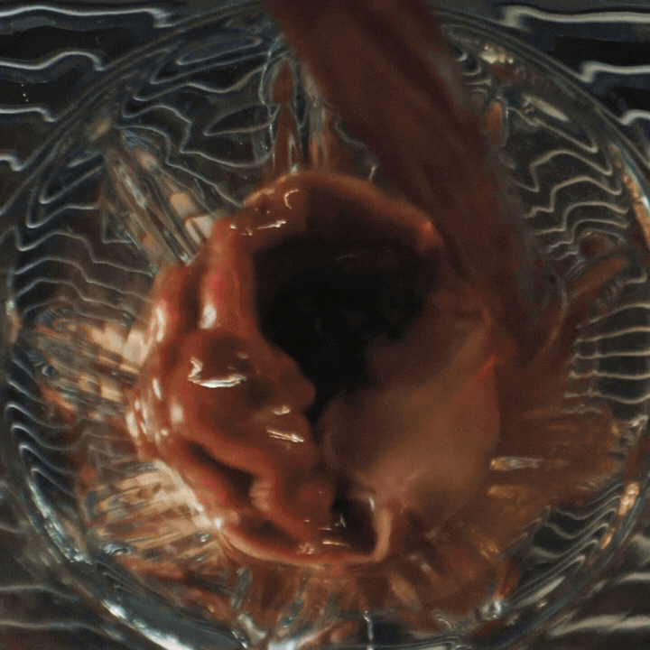 Cafitesse Gif (1).gif