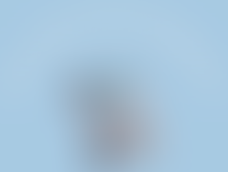 What Is the SIP Neo 3?