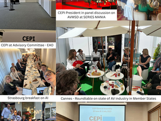 End of the Year 2025 - Message from CEPI President, Anthony Muldoon