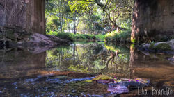 Imagem aluno (7)