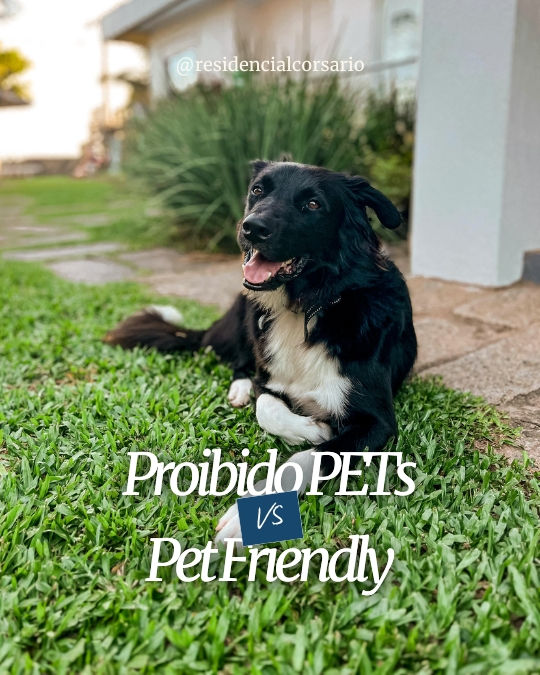 Proibido PETs VS Pet Friendly