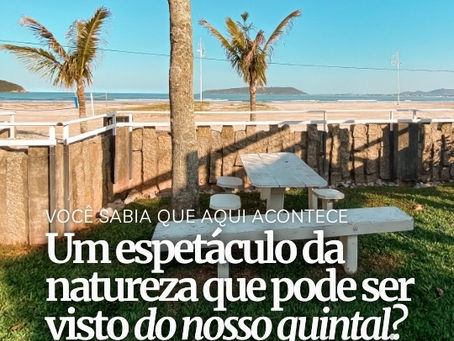 Residencial Corsário: Viva a Magia da Natureza à Beira-Mar em Ponta do Papagaio, SC