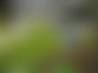 Sua Páscoa perfeita à beira-mar em Palhoça é no Residencial Corsário