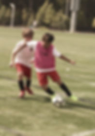 Screen Shot 2022-03-09 at 9.31_edited.jpg