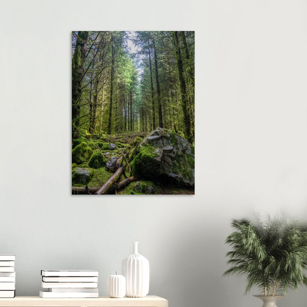 “The Fairy Glen” in the Brecon Beacons - Aluminum Print