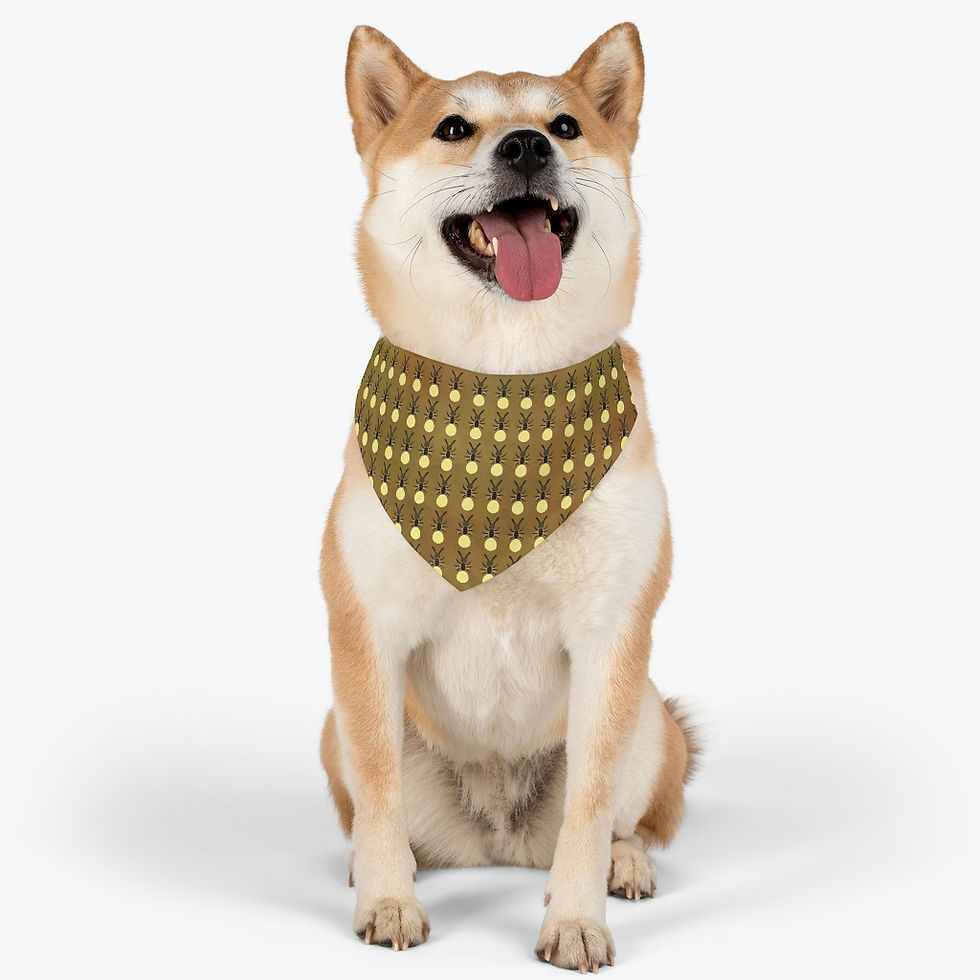 Thumbnail: Pet Bandana Collar