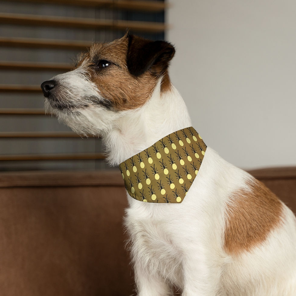 Thumbnail: Pet Bandana Collar
