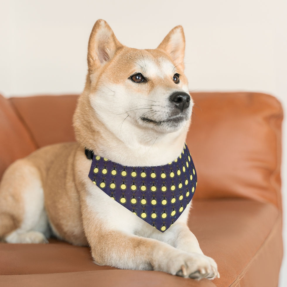 Thumbnail: Pet Bandana Collar