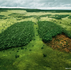 What happens when Earth is struggling? Exploring green advertising