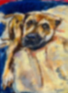 SHIRLEY